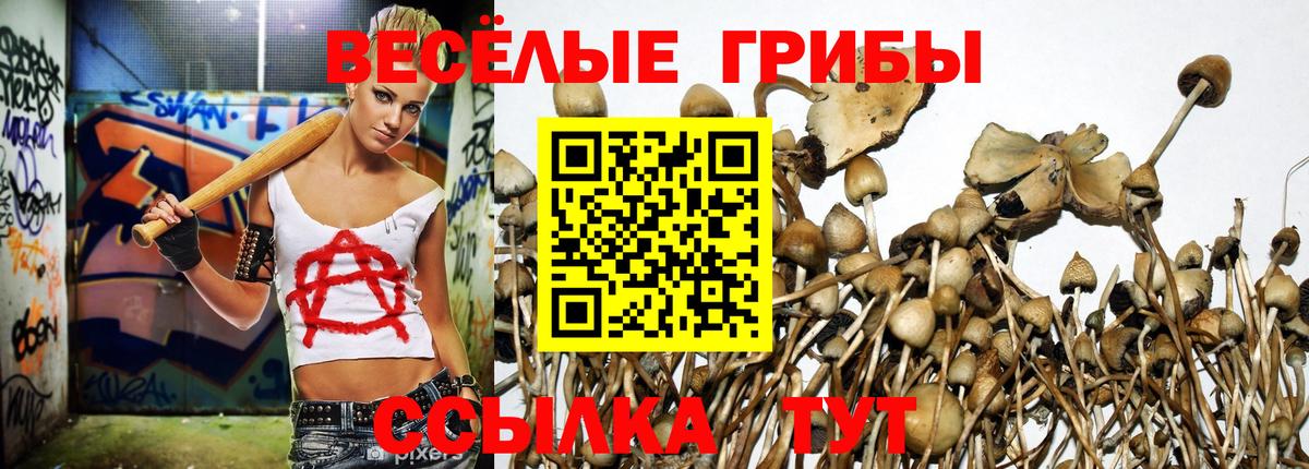 МЕФ Канаш