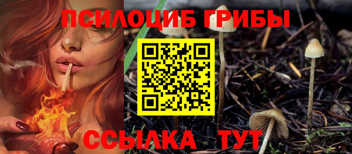 Псилоцибиновые грибы ЛСД Канаш