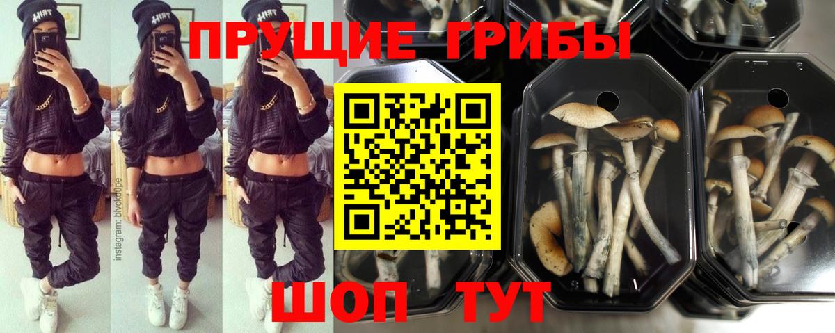 Галлюциногенные грибы прущие грибы Канаш