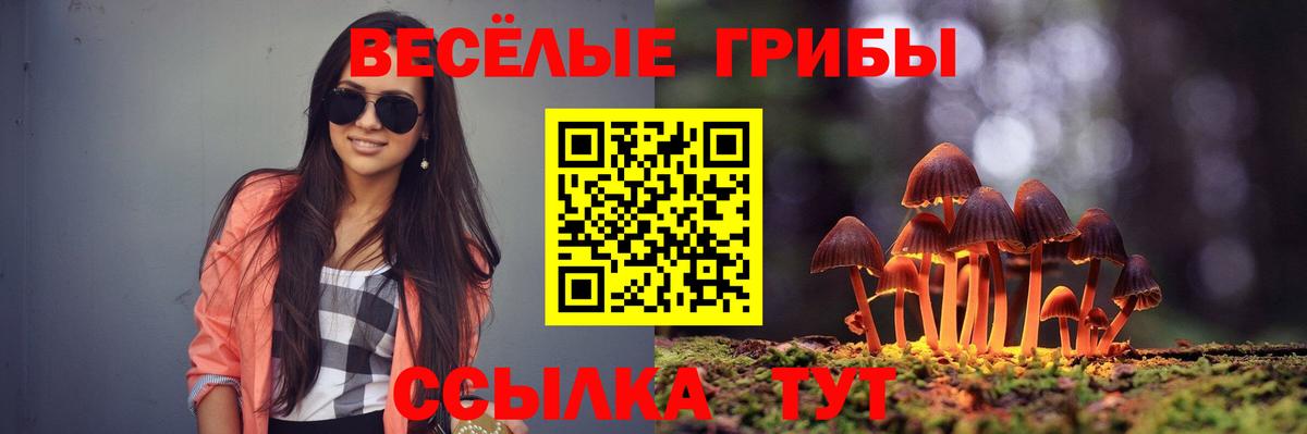 Канаш  Псилоцибиновые грибы Psilocybe  даркнет сайт  Галлюциногенные грибы Cubensis  Вход с VPN 