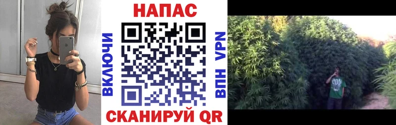 Каннабис тримм  блэк спрут ONION  Канаш 